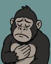 Горилла с выражением сожаления.jpeg